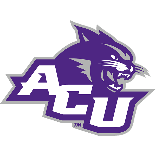 Wildcats logo