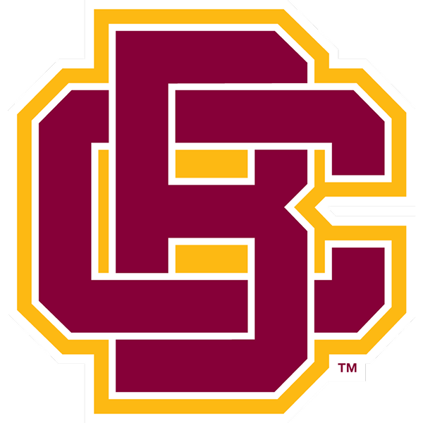 Wildcats logo
