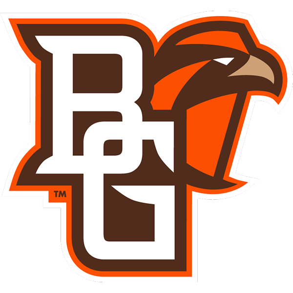 Falcons logo