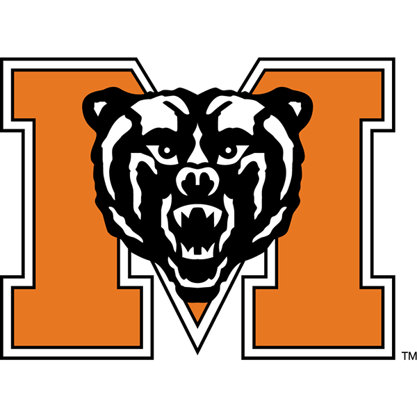 Bears logo