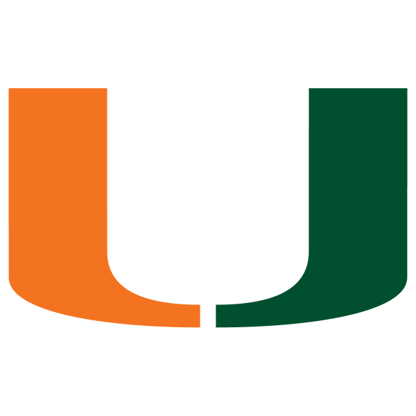Hurricanes logo