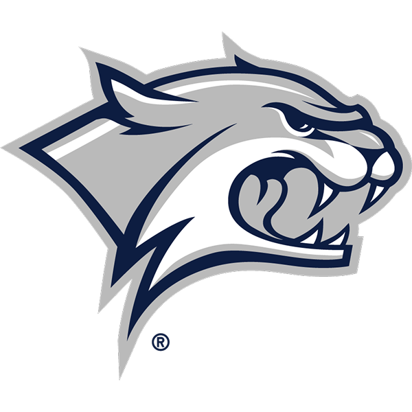 Wildcats logo