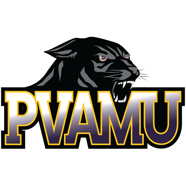 Panthers logo
