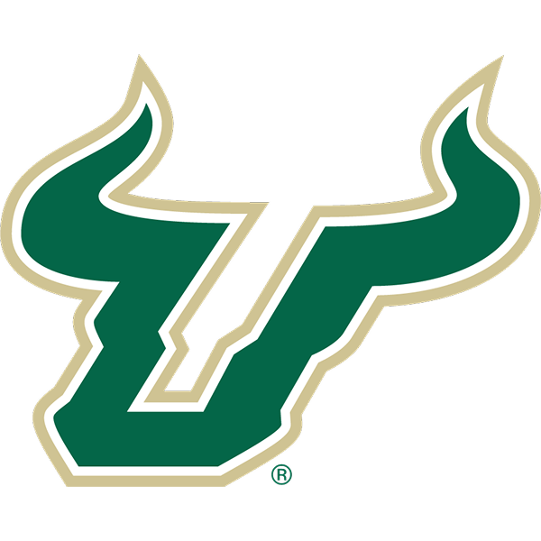 Bulls logo