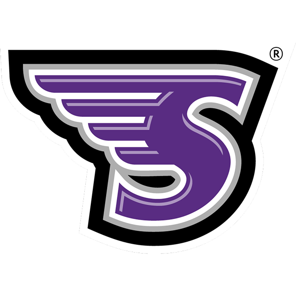 Skyhawks logo