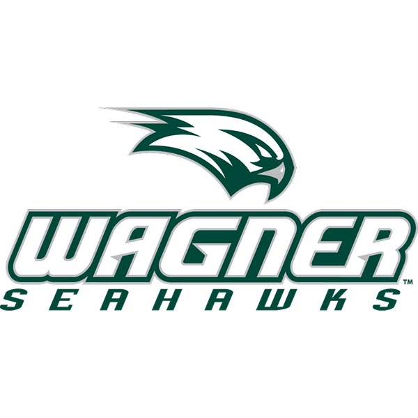 Seahawks logo