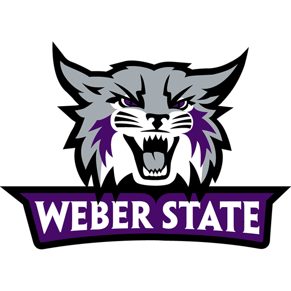Wildcats logo