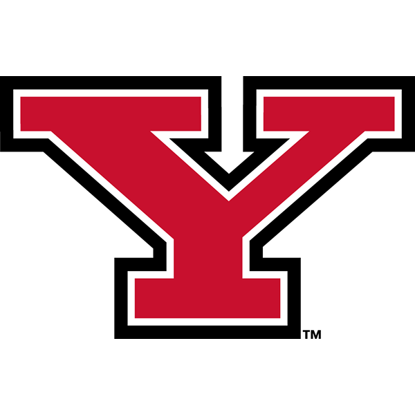 Penguins logo
